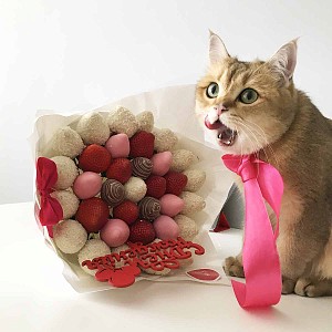 Нравится даже братьям нашим меньшим 